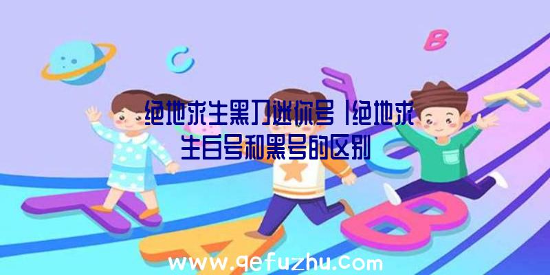 「绝地求生黑刀迷你号」|绝地求生白号和黑号的区别